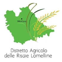 S_LOMELLINE